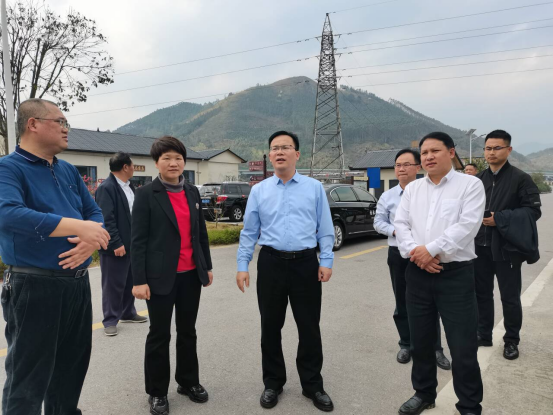 市委副书记卢新华到永福调研
