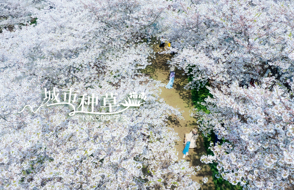 5d1fa8de9909d8f906c56866a2126684.png