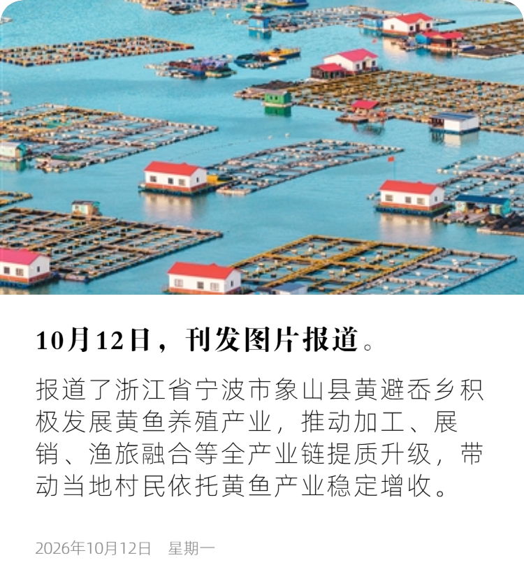 人日海外2.png