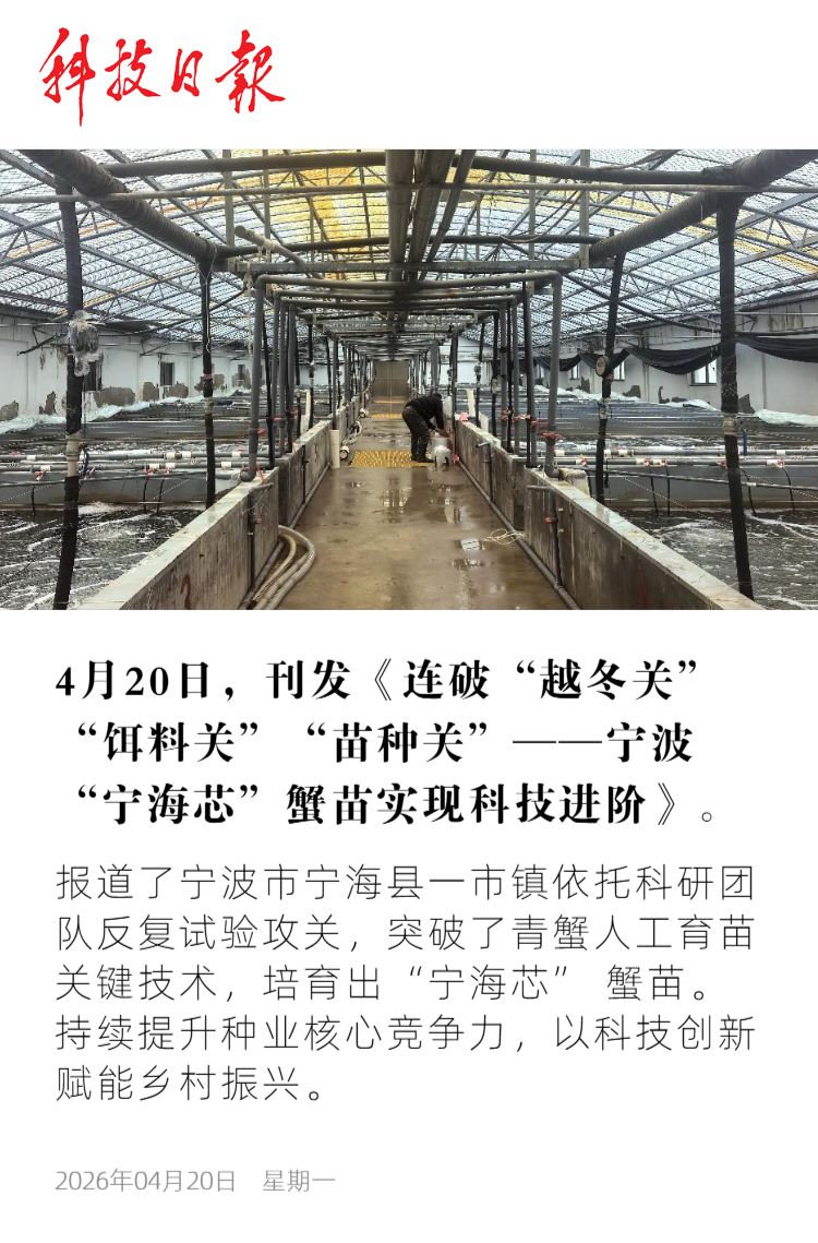 科技日报.png