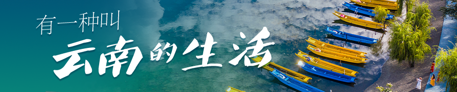 美好生活在云南访谈王力用情用力托起群众稳稳的幸福