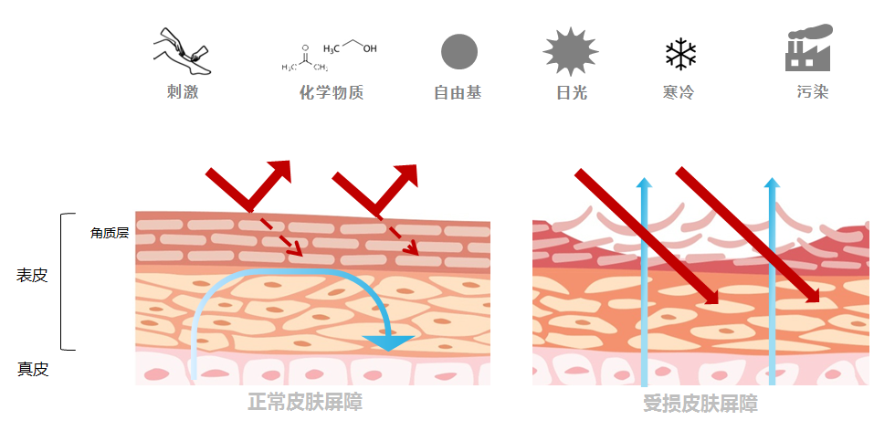 创面修复敷料怎么使用烂脸期总踩坑？皮肤科医生划重点：修护≠屏障修复≠创面修复！_https://www.jmylbn.com_新闻资讯_第1张