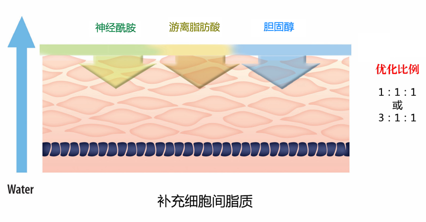 创面修复敷料怎么使用烂脸期总踩坑？皮肤科医生划重点：修护≠屏障修复≠创面修复！_https://www.jmylbn.com_新闻资讯_第9张