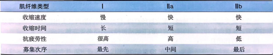 为什么选择双相波低频电疗法的原理及各项参数解读_https://www.jmylbn.com_新闻资讯_第3张