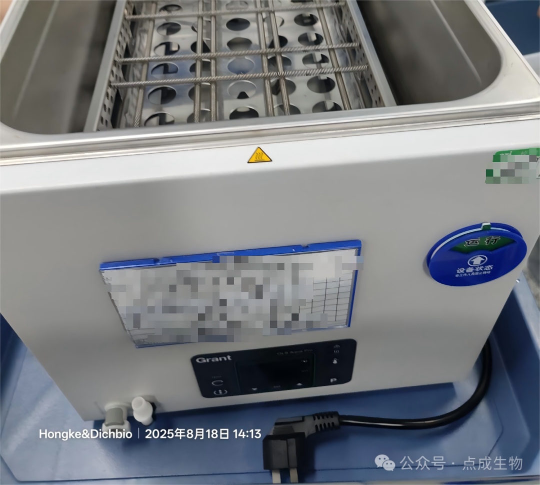 點成干貨 | 從原料到膠囊，制藥過程中如何確保內容物穩定一致？