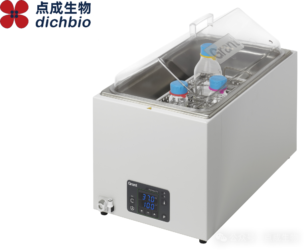 點成干貨 | 從原料到膠囊，制藥過程中如何確保內容物穩定一致？