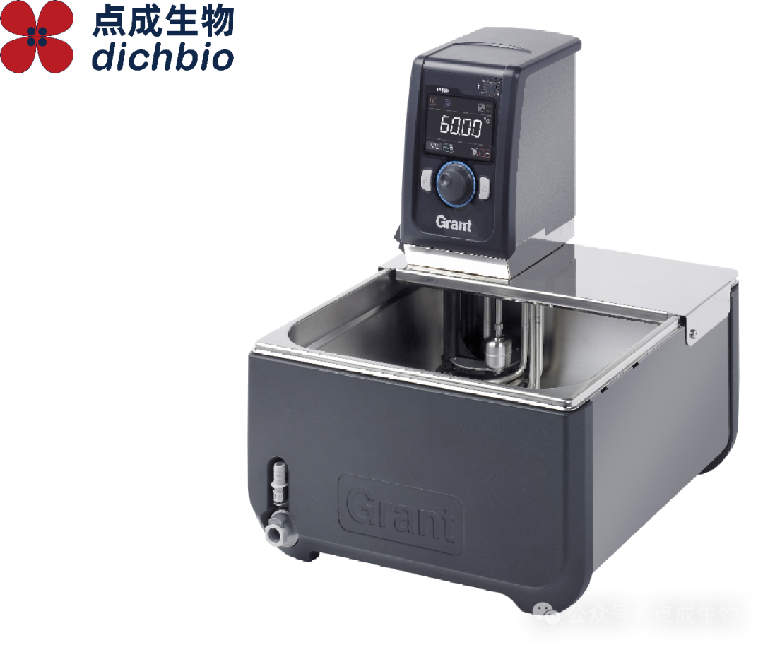 實驗室專題 | 小昆蟲，大問題：高精度控溫如何助力氣候研究