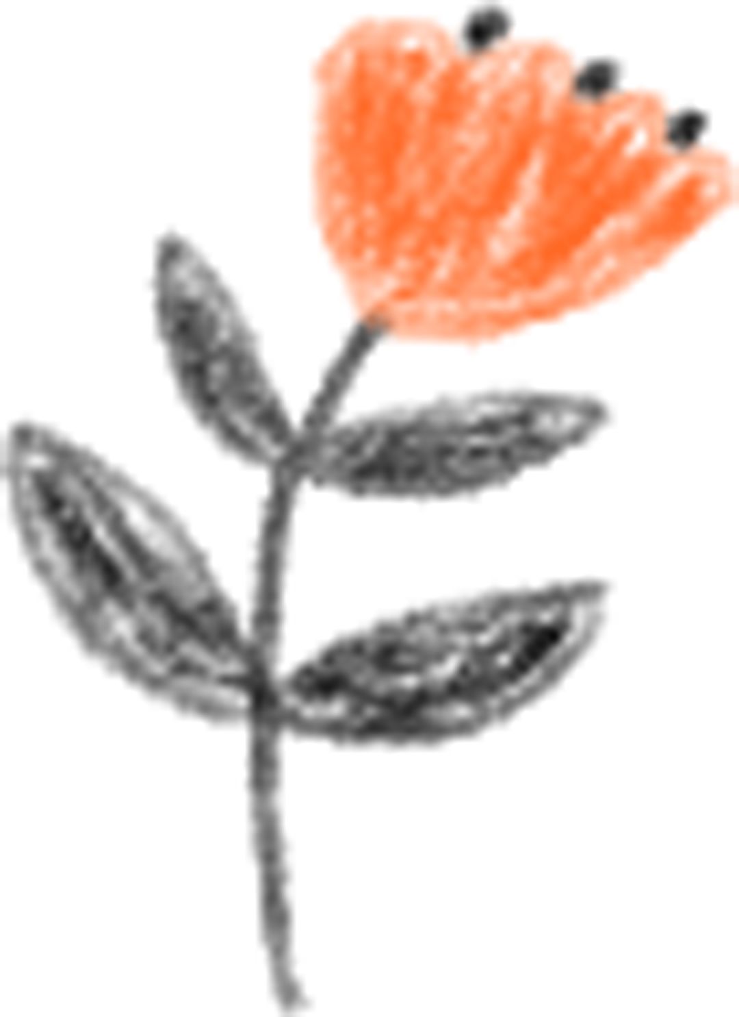 一个陌生女人的来信女人的性格_一个陌生来信的女人_一封陌生女人的来信