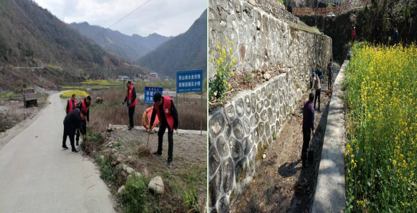 汉中略阳县观音寺镇人居环境整治再行动绘就美丽乡村新图景