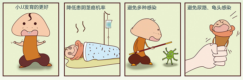 包皮环切器是什么东西儿童包皮手术该怎么做——一次性包皮环切器_https://www.jmylbn.com_新闻资讯_第3张