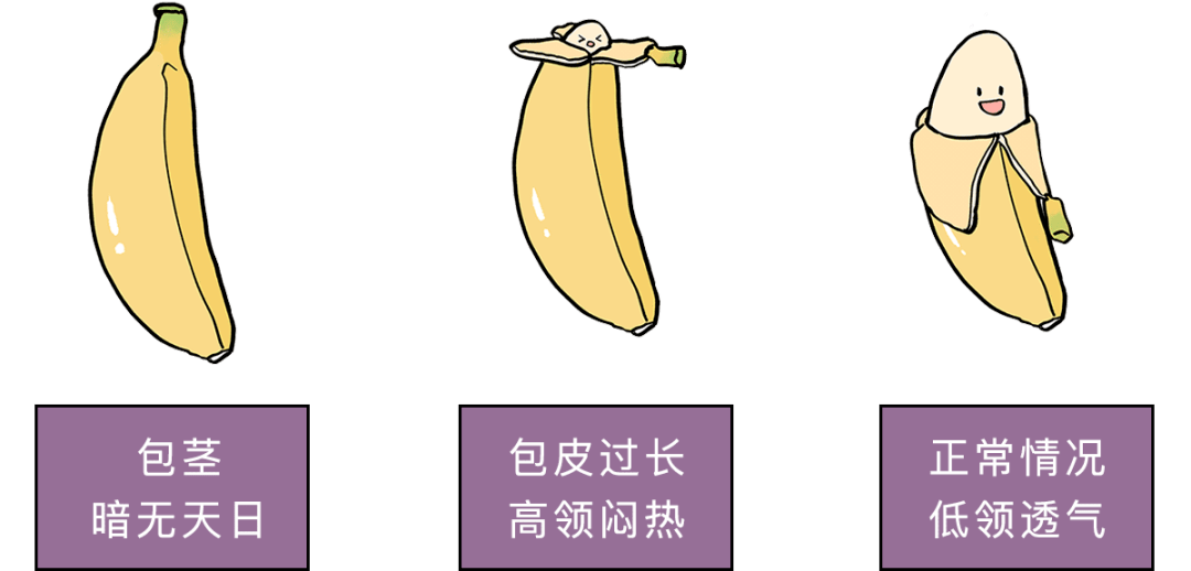 包皮环切器是什么东西儿童包皮手术该怎么做——一次性包皮环切器_https://www.jmylbn.com_新闻资讯_第4张