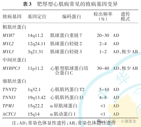 中国肥厚型心肌病诊断及分型
