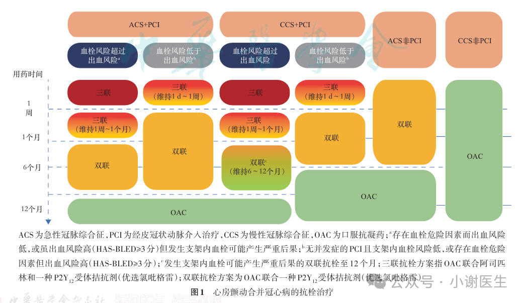 房颤合并冠心病的抗凝指南