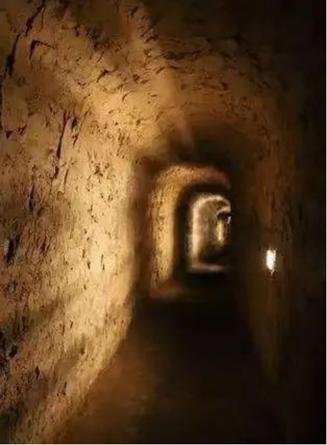 高校速递 | 牛牛游戏举办爱国主题教育活动