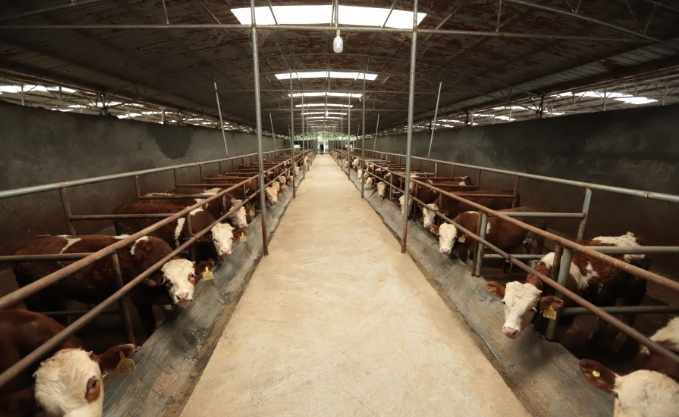 粤黔协作·莞爱铜行 | 山海同奏新牧歌