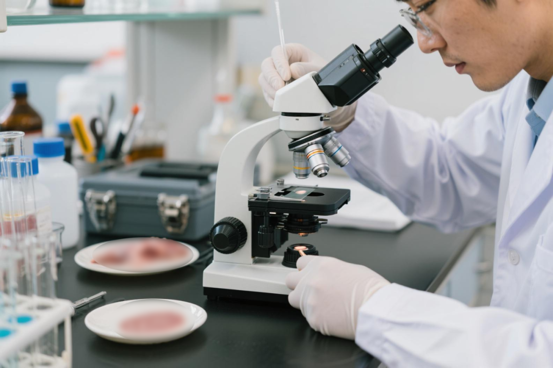 取病理什么意思病理报告是什么，它为什么不是“立等可取”_https://www.jmylbn.com_新闻资讯_第6张