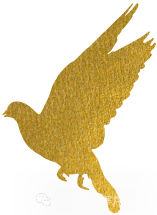 640 (2).webp (5).png