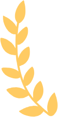 640.webp (3).png