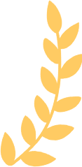 640.webp (2).png