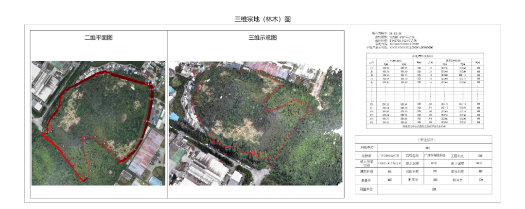 三维宗地图 - 林权 4829.jpg