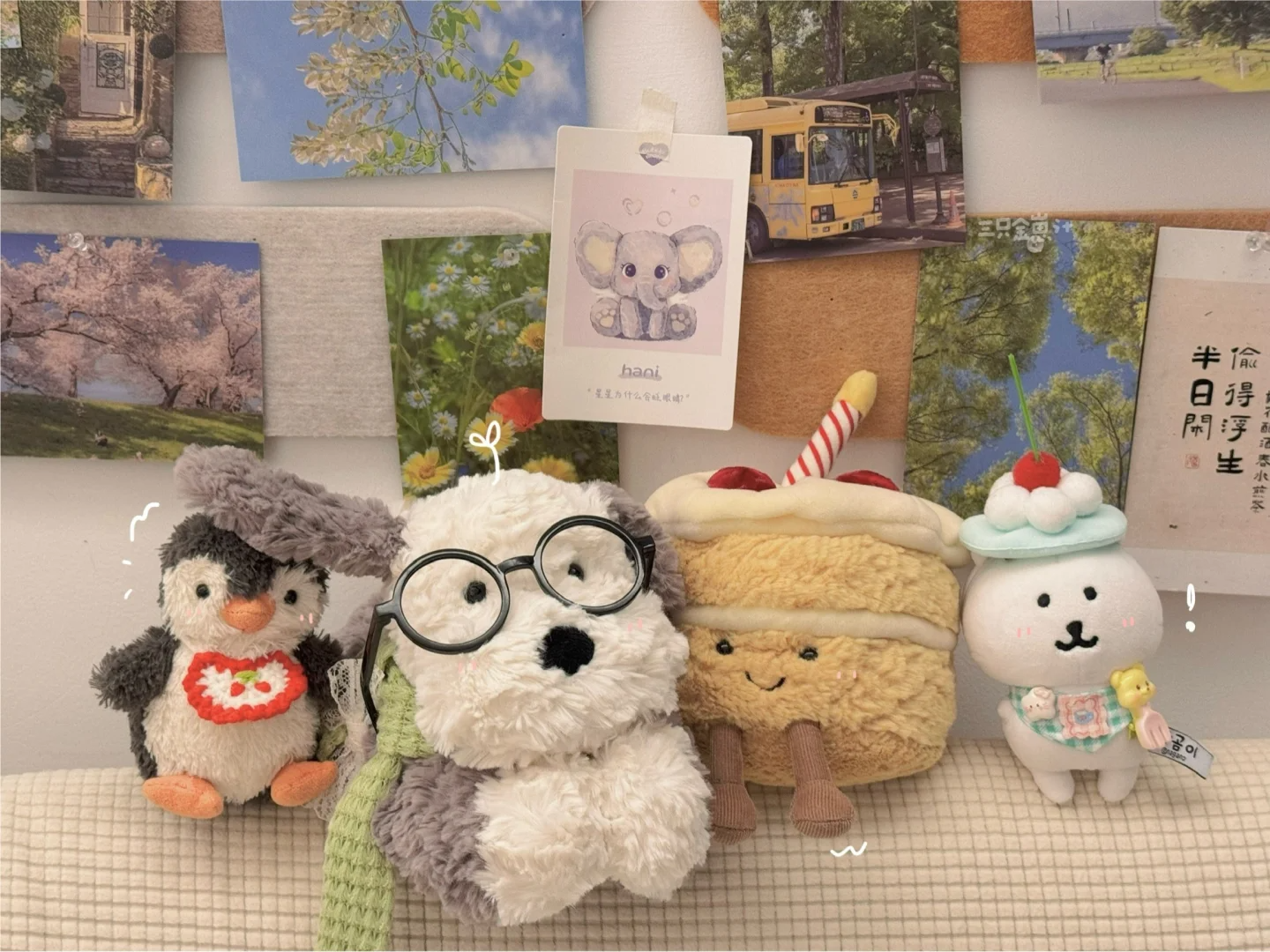 社区运营专员-小鱼