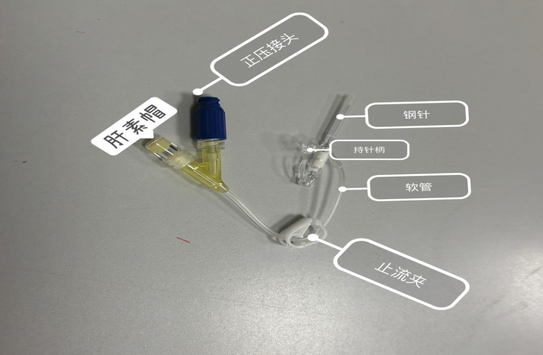 为什么输血不能用小针【锡医科普】静脉留置针您了解吗？_https://www.jmylbn.com_新闻资讯_第4张