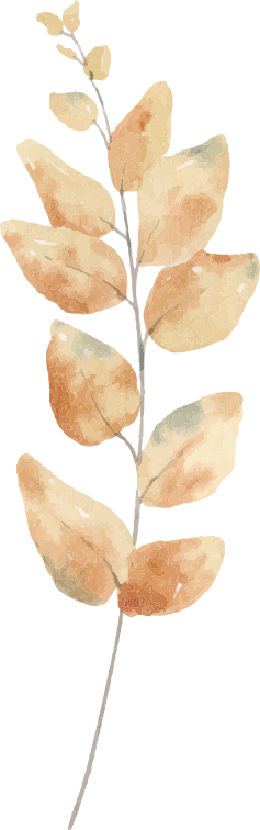 【中医药文化】揭秘中药材“黄金搭档”：生津润燥CP