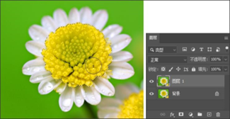 剪切蒙版怎么用 小白一起学！创建剪贴蒙版制作可爱的头像效果