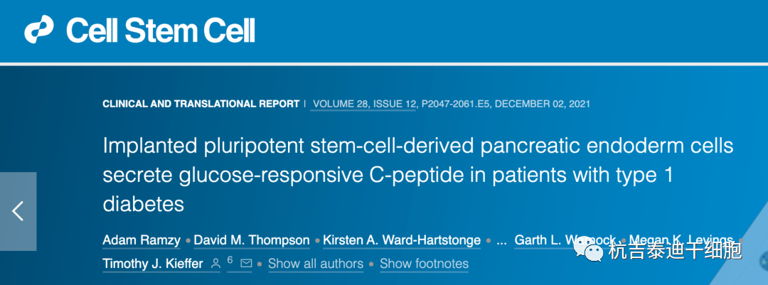 由干細胞分化培養(yǎng)而來的胰島細胞在26名1型糖尿病患者體內分泌了胰島素。