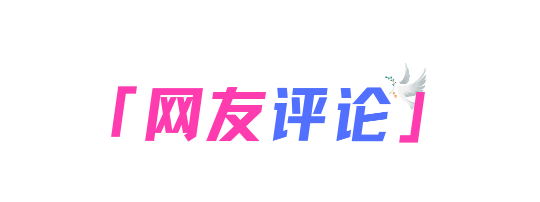天津和平鸽归巢主人激动吹哨迎接