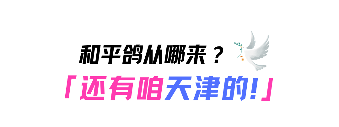 天津和平鸽归巢主人激动吹哨迎接,参加阅兵的鸽子，天津市民：快回家！