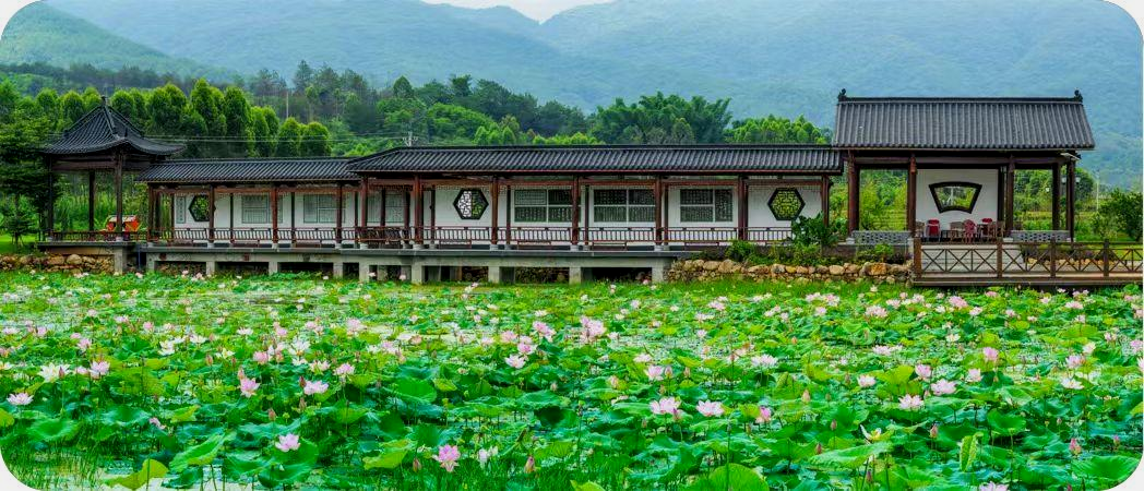 中国仓海诗廊（蕉岭县人民政府地方志办公室供图）