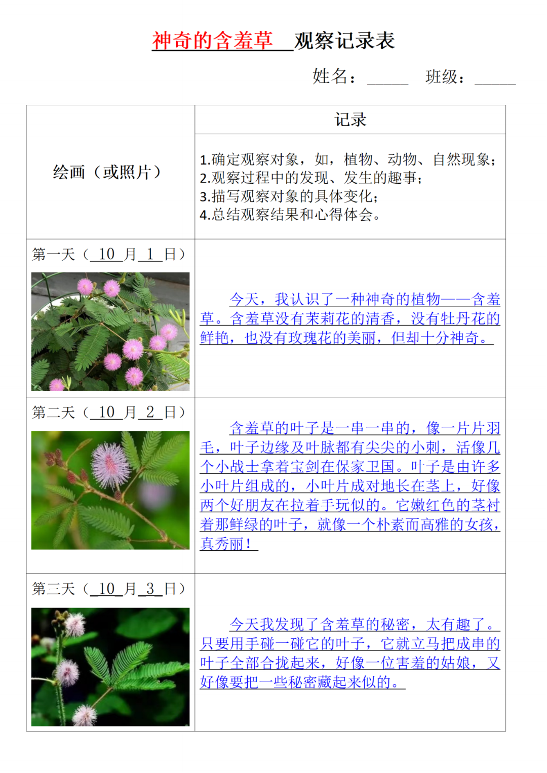 四年级上册语文《第三单元习作写观察日记》，电子版可打印