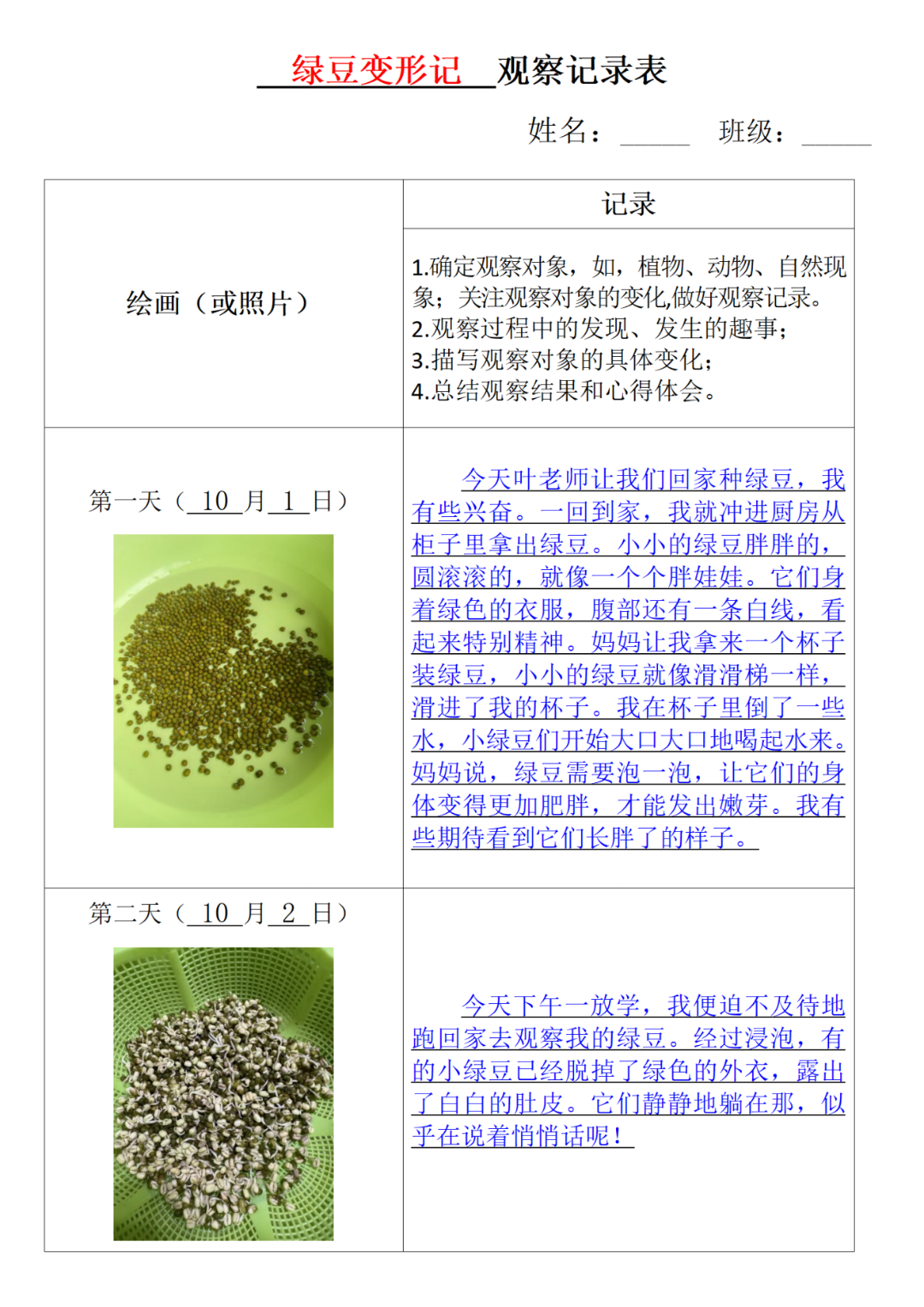 四年级上册语文《第三单元习作写观察日记》，电子版可打印