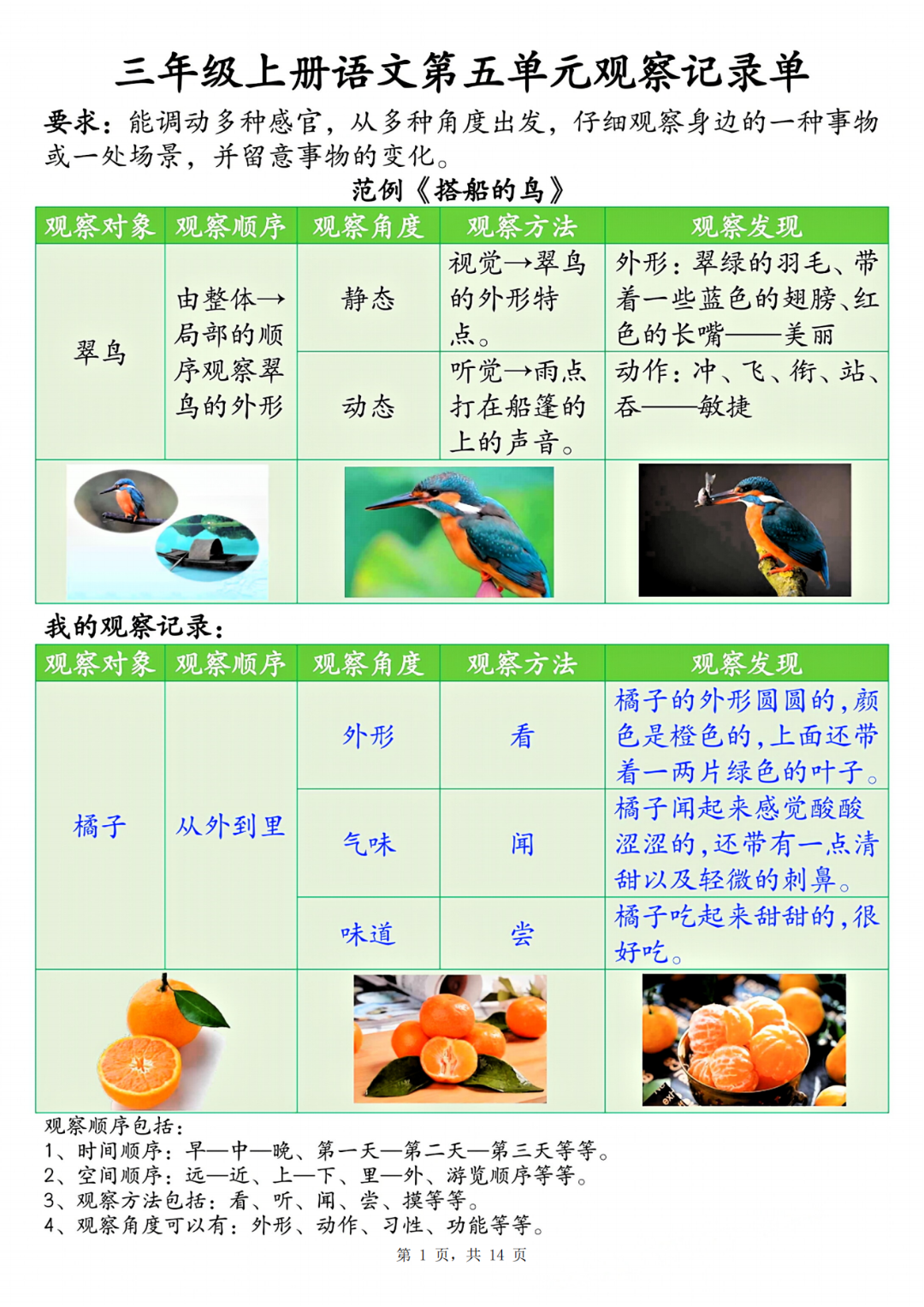 25年新版三年级上册语文《第五单元观察记录单》，电子版可打印