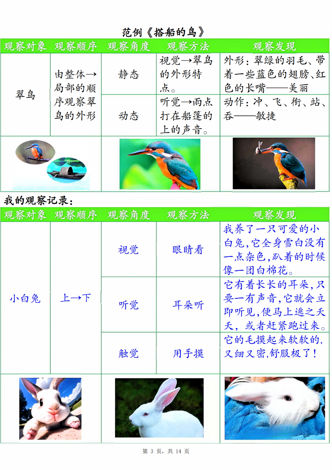 25年新版三年级上册语文《第五单元观察记录单》，电子版可打印
