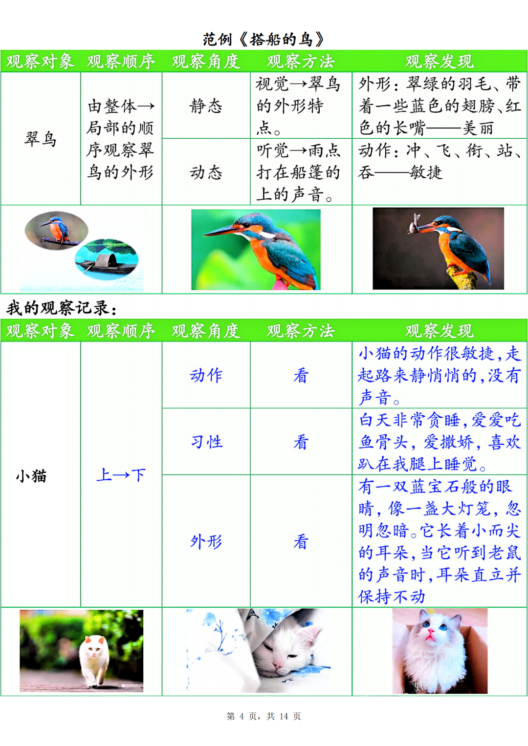 25年新版三年级上册语文《第五单元观察记录单》，电子版可打印