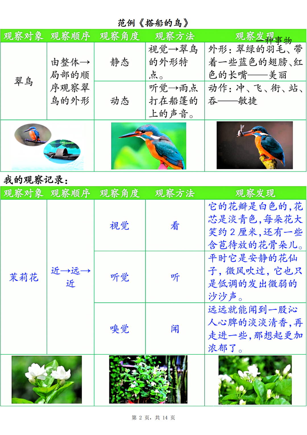 25年新版三年级上册语文《第五单元观察记录单》，电子版可打印