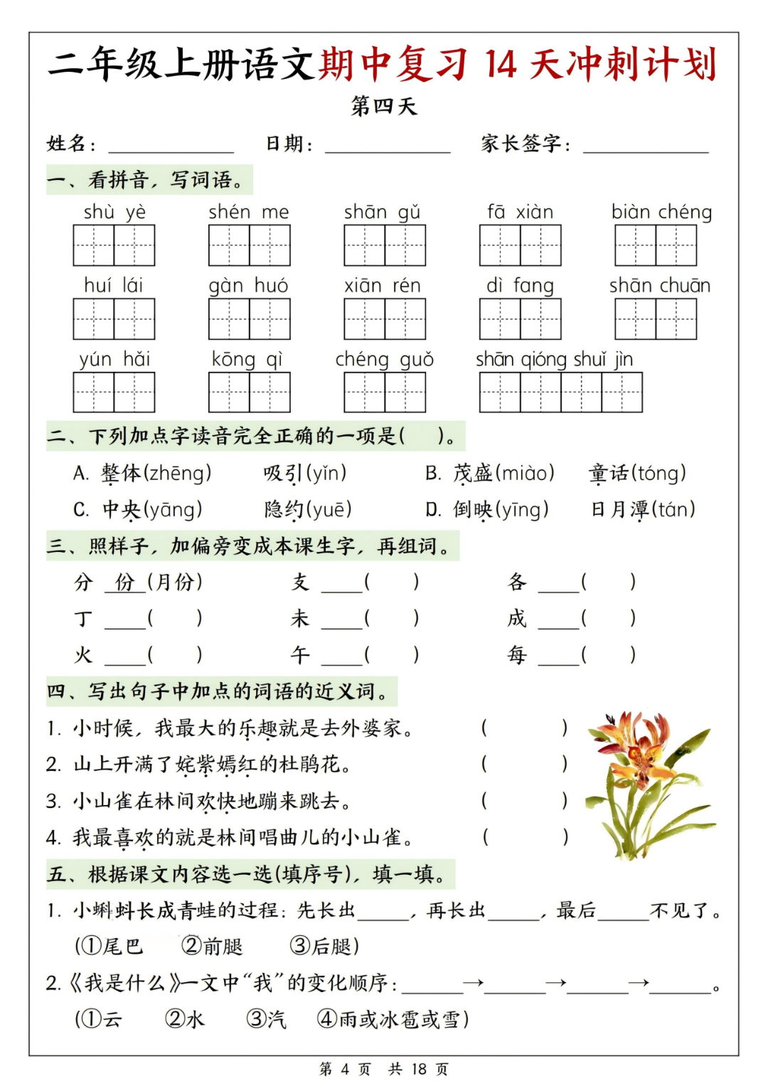 25年新版二年级上册语文《期中14天冲刺练习》，有答案，电子版可打印
