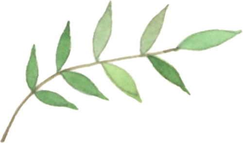 第二十一届百花文学奖揭晓！内蒙古4人获奖 第18张