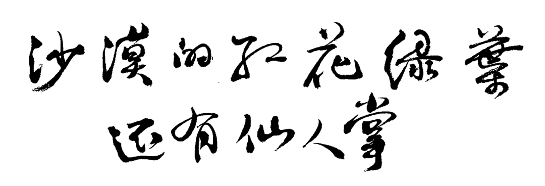 塞外随笔 | 杨献平：沙漠的红花绿叶，还有仙人掌(图2)