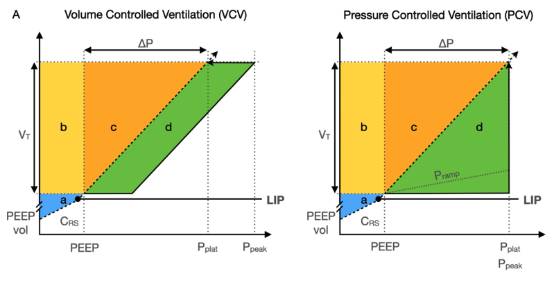 呼吸机vt是什么意思了解呼吸机诱导的肺损伤：机械功的作用_https://www.jmylbn.com_新闻资讯_第3张