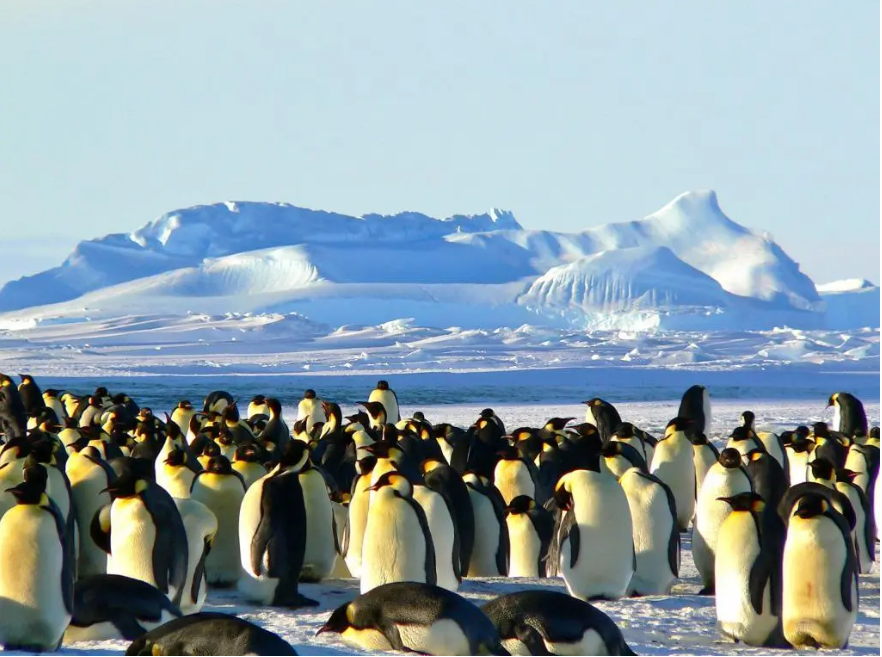 生物多樣性的層次性_生物多樣的層次包括_生物多樣性包括哪三個層次