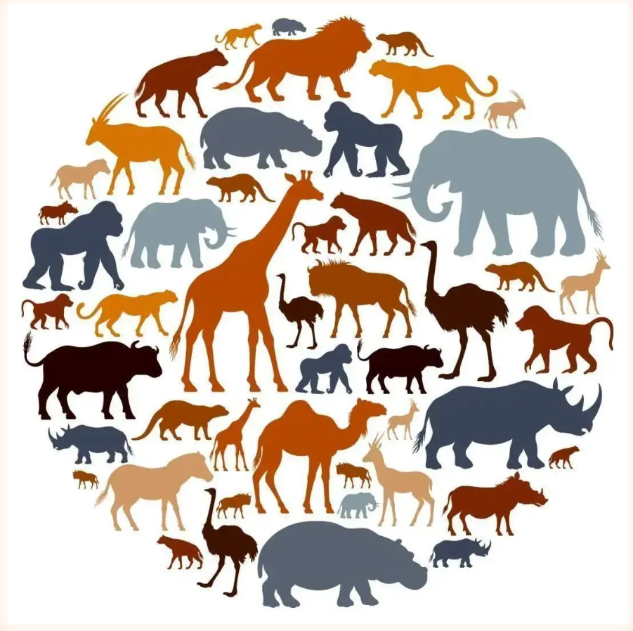 生物多樣性的層次性_生物多樣性包括哪三個層次_生物多樣的層次包括