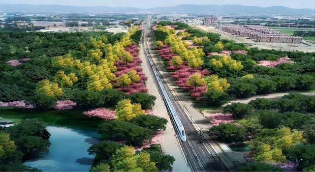 北京花海列车栈道_居庸关花海栈道_花海观光小火车