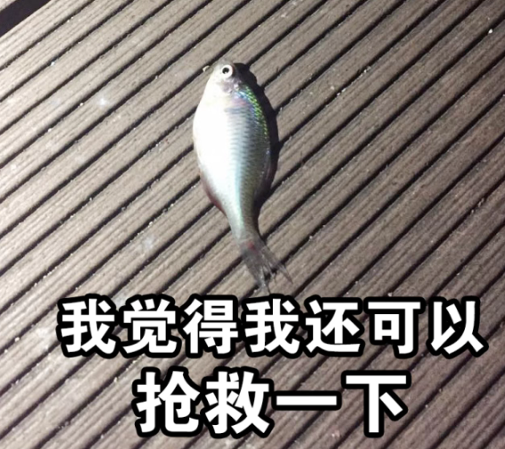表情包4.png