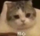 表情包.png