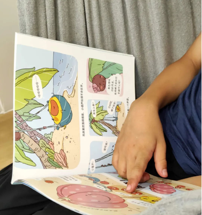 14岁少女红包互联网主持人，三个月不到花8万！你还在忽略对孩子的“英语基础教育”基础教育吗？(图16)