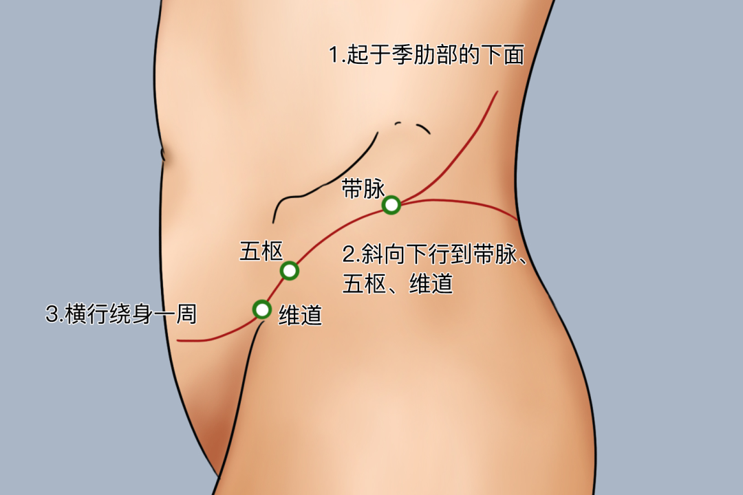 金日光教授：（十三）如何看待当前的医理和药理？(图12)