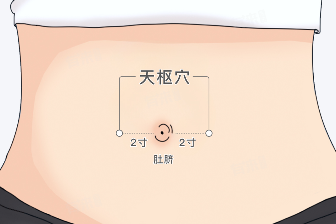 金日光教授：（十三）如何看待当前的医理和药理？(图11)